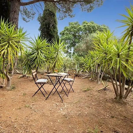 Apartamento La Casa Del Sole - Toscanonehh *